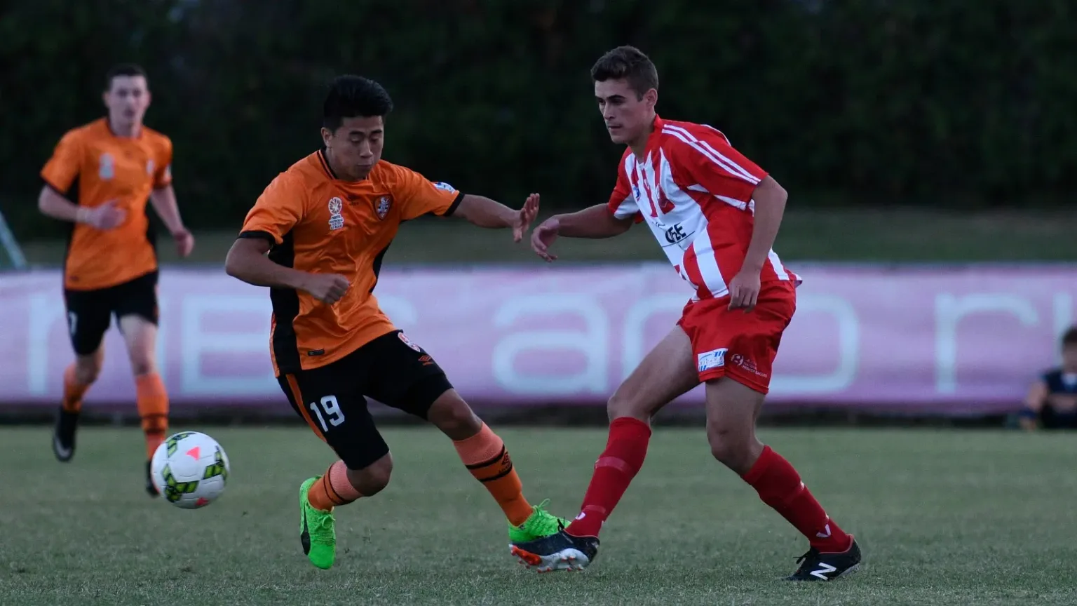 Olympic FC x Brisbane City (16/08): odds, dicas e análise para o jogo